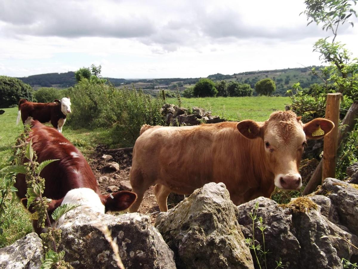 Hall Dale View Near Matlock & Peak District 外观 照片